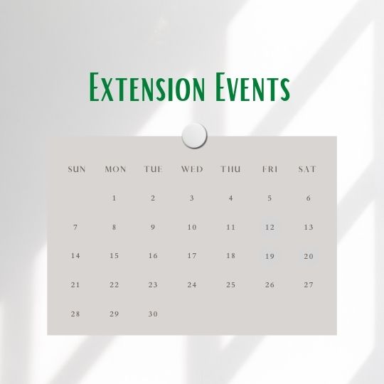 Extension Events